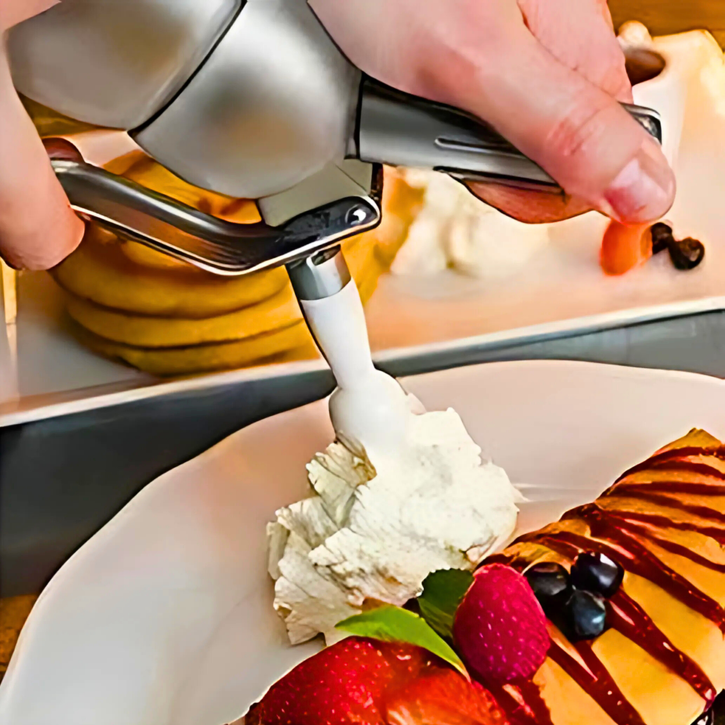 Stainless Steel Whipped Cream Dispenser